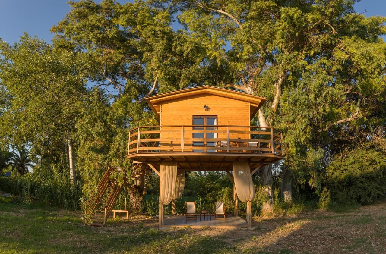 River Treehouse Laganas Exterior photo